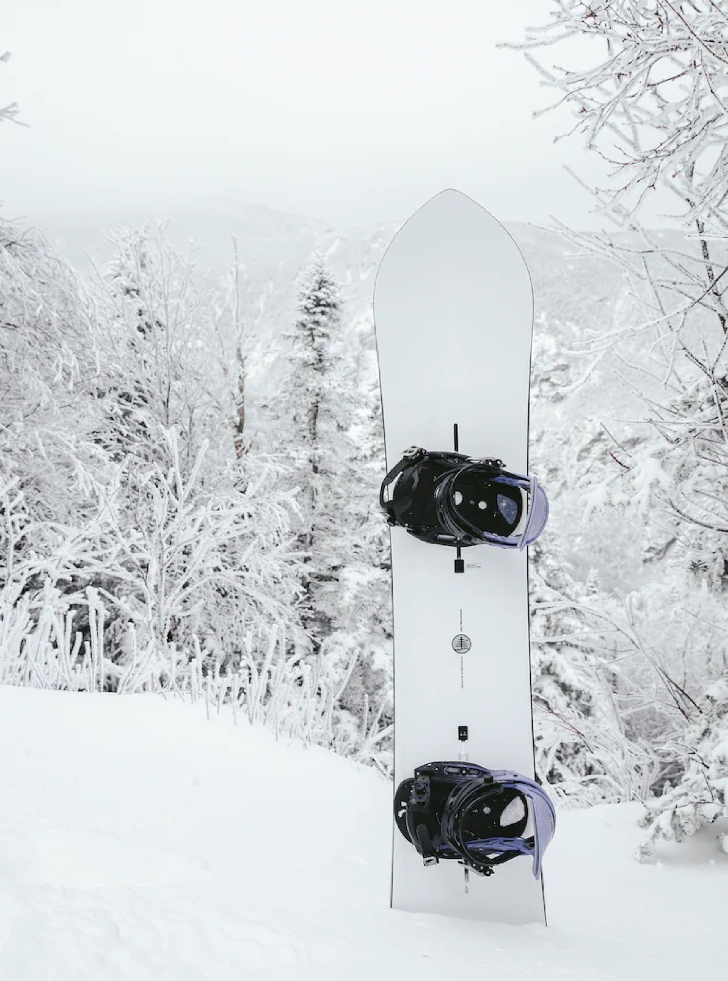 Burton Family Tree 3D Double Dog Snowboard 164 - 2023 Snowboards