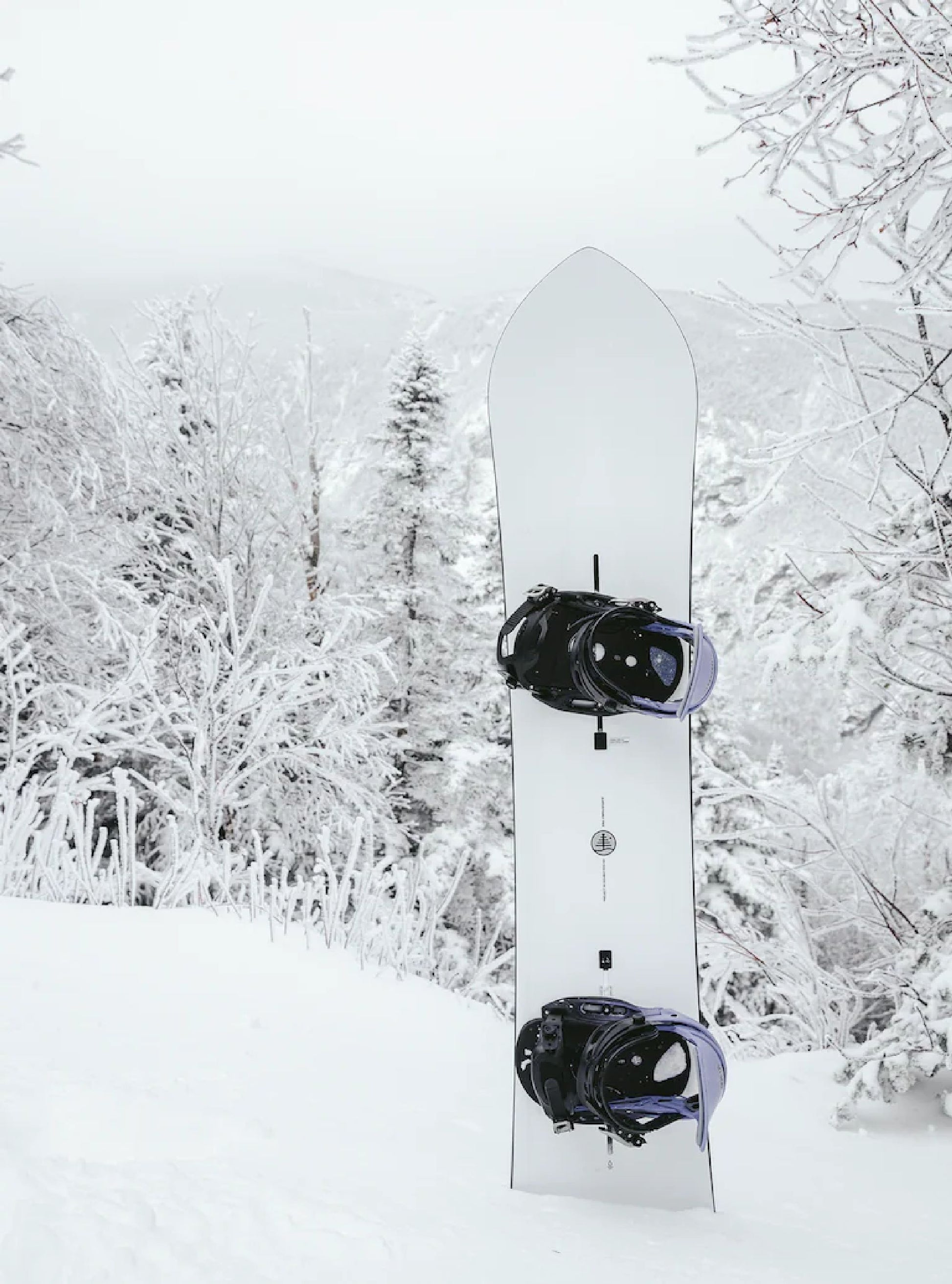 Burton Family Tree 3D Double Dog Snowboard Snowboards