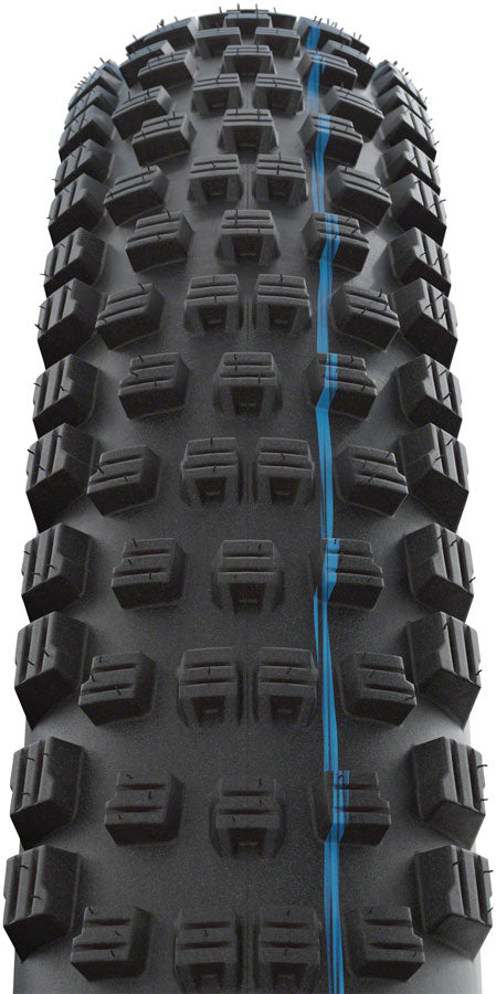 Schwalbe Wicked Will Tire - 29 x 2.4 Tubeless Folding BLK Evolution Line Super Trail Addix SpeedGrip - Schwalbe Tires