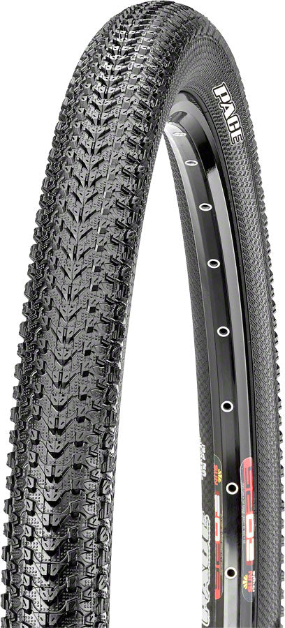 Maxxis Pace Tire - 29 x 2.10 Tubeless Folding Black Dual EXO - Maxxis Tires