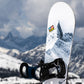 Lib Tech Cold Brew Snowboard 2024 163W Snowboards