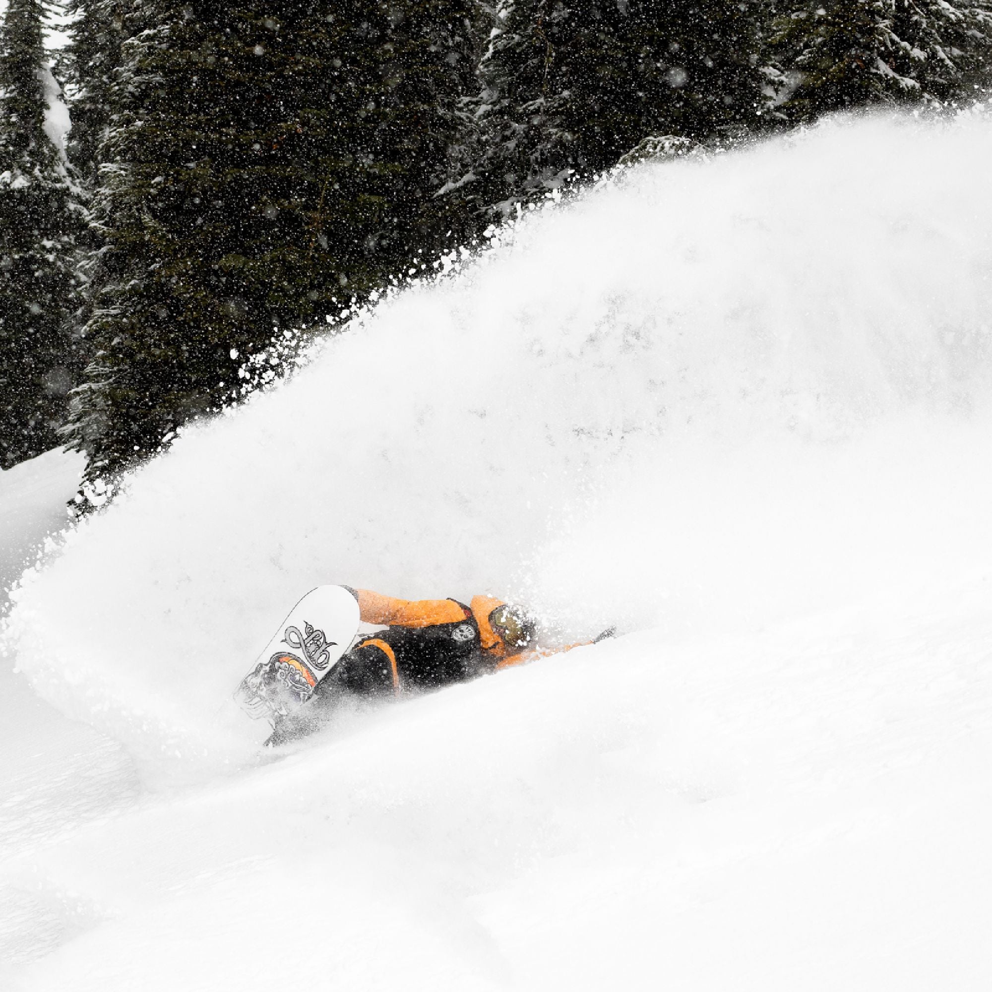 Lib Tech Jamie Lynn Snowboard 2024 – Dreamruns.com