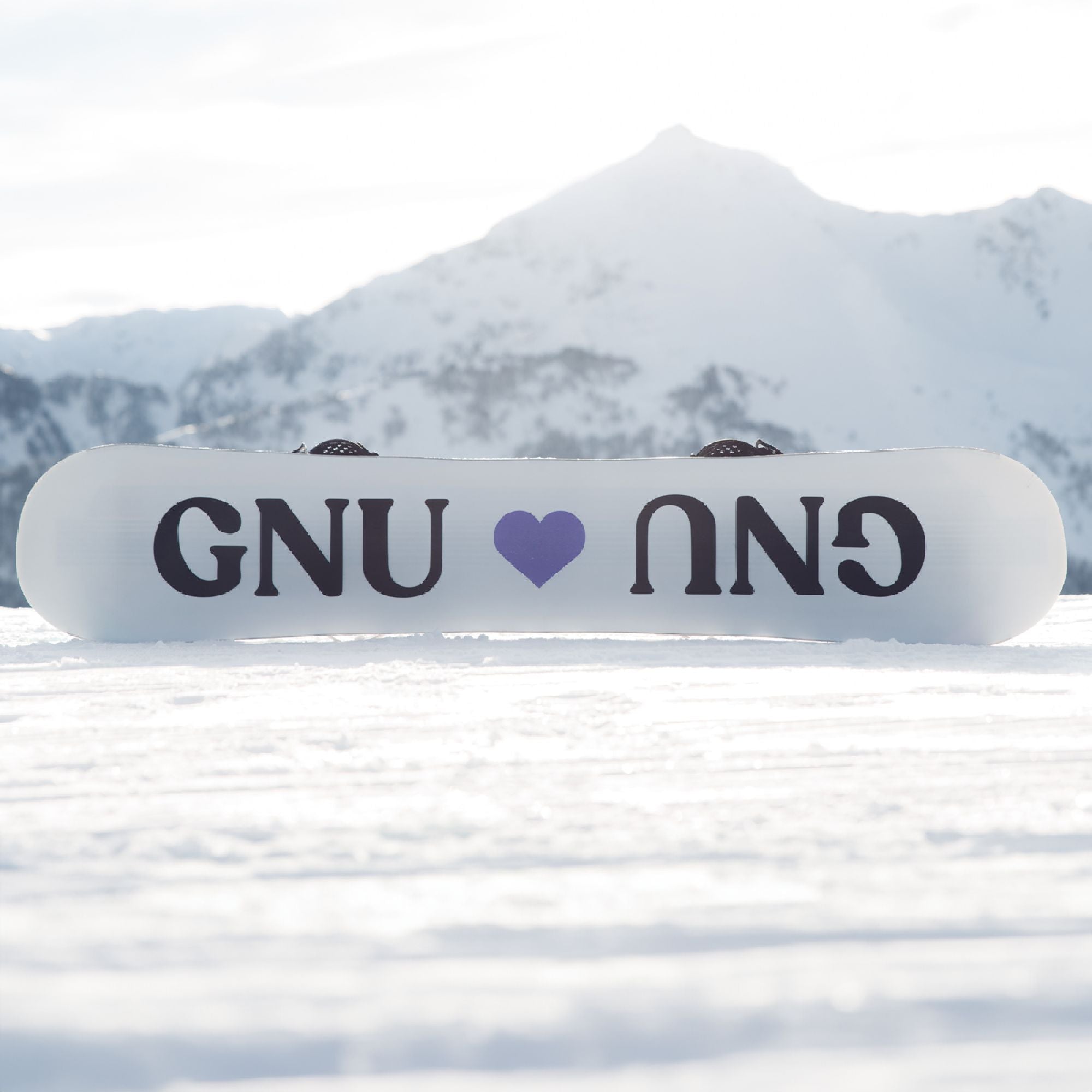 GNU Women's Ladies Choice Snowboard 2024 – Dreamruns.com GNU Women's Ladies Choice Snowboard 2024 – Dreamruns.com