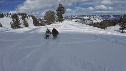 Whitespace AMF Park Twin Snowboard 2025