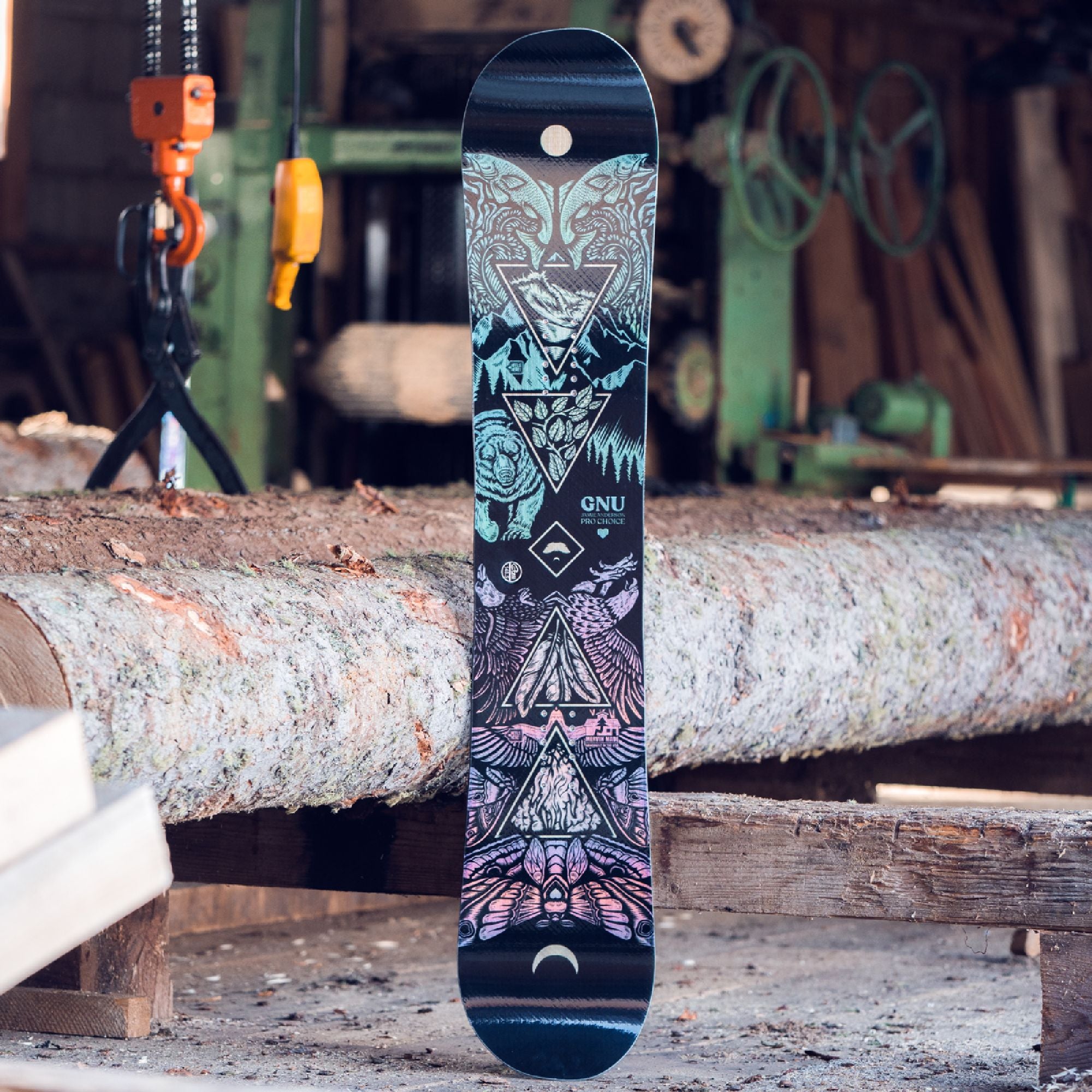 GNU Women's Pro Choice Snowboard 2024 – Dreamruns.com