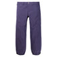Men's Burton Melter Plus 2L Pants Violet Halo Snow Pants