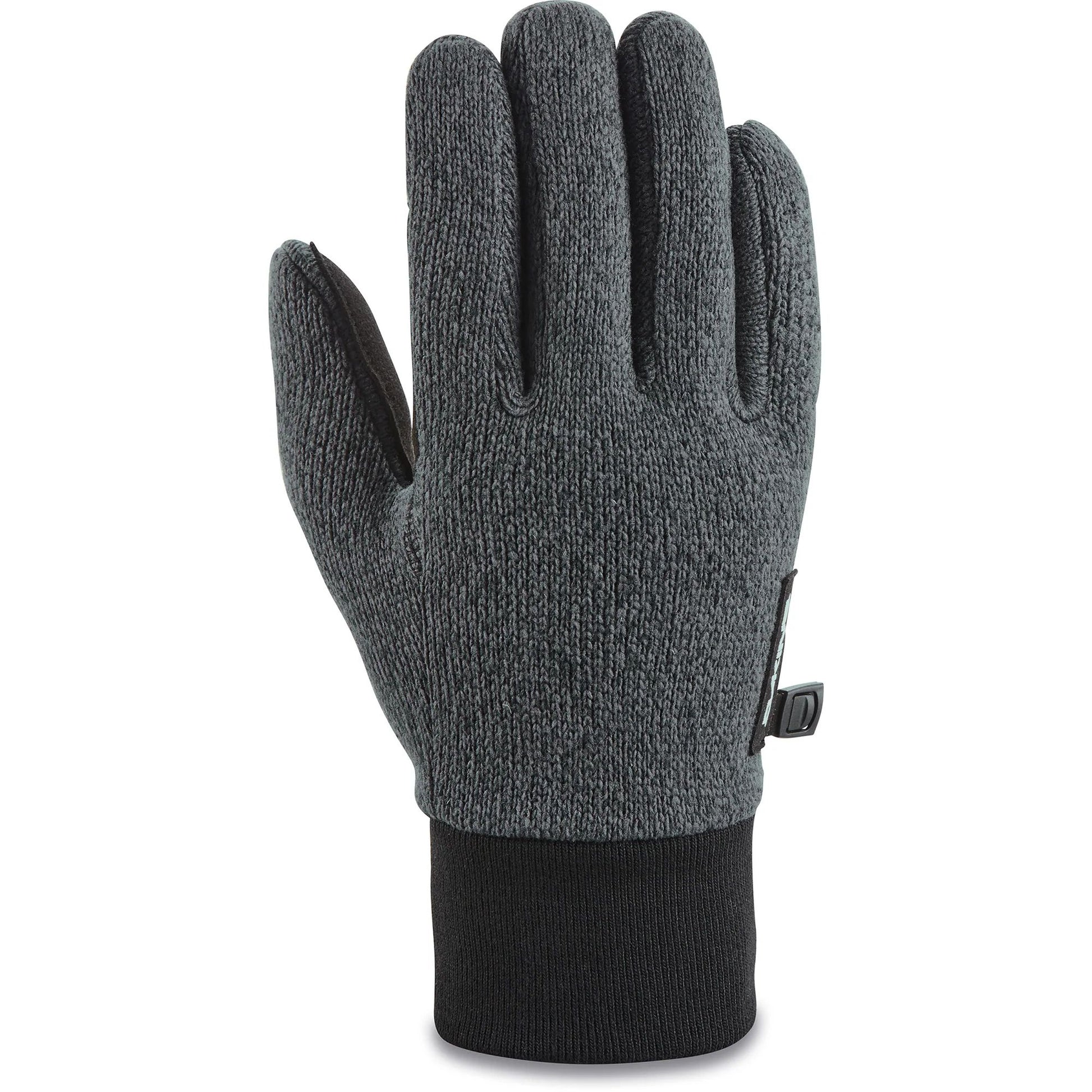 Dakine Apollo Glove Gunmetal M - Dakine Snow Gloves