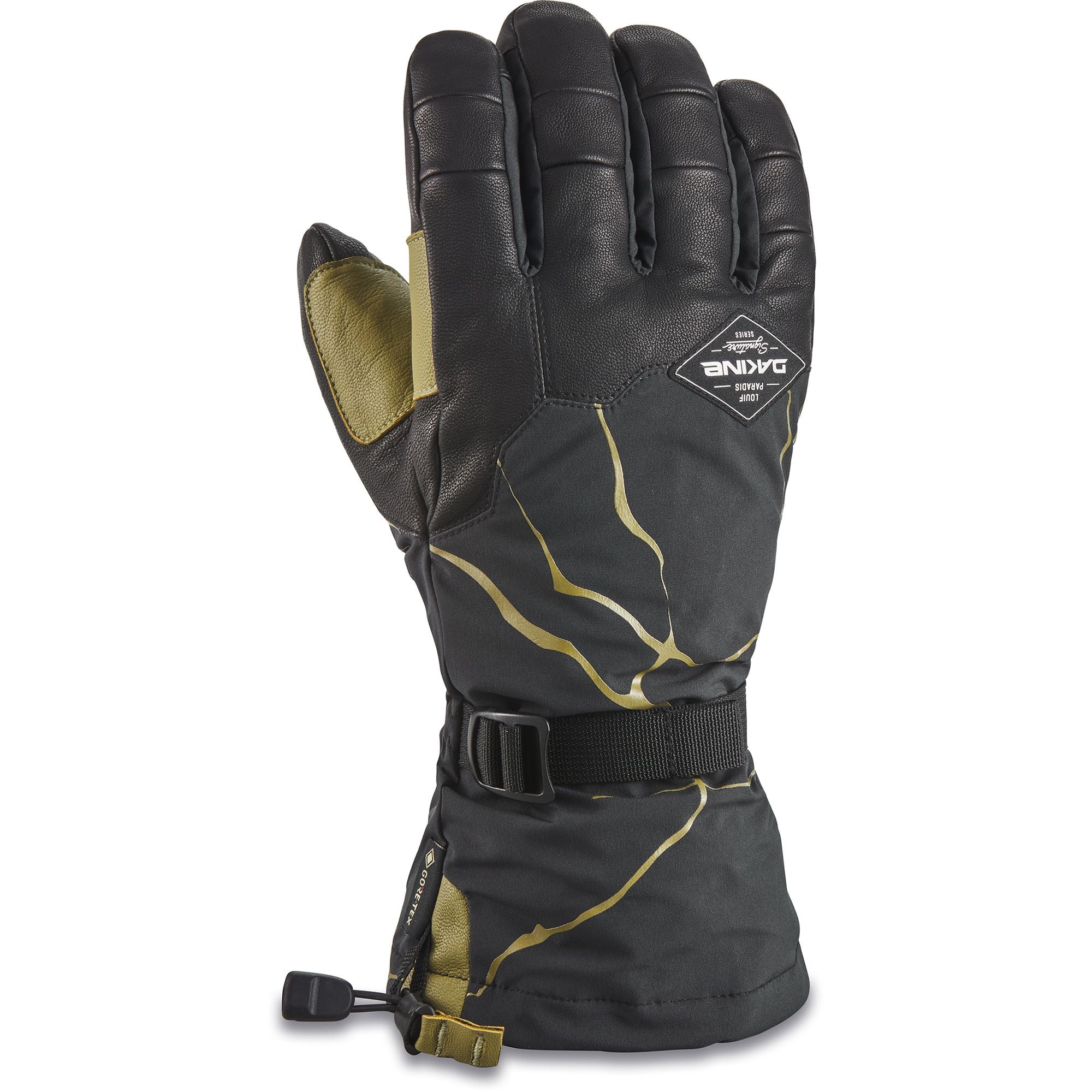 Dakine Team Phoenix GORE-TEX Glove – Dreamruns.com